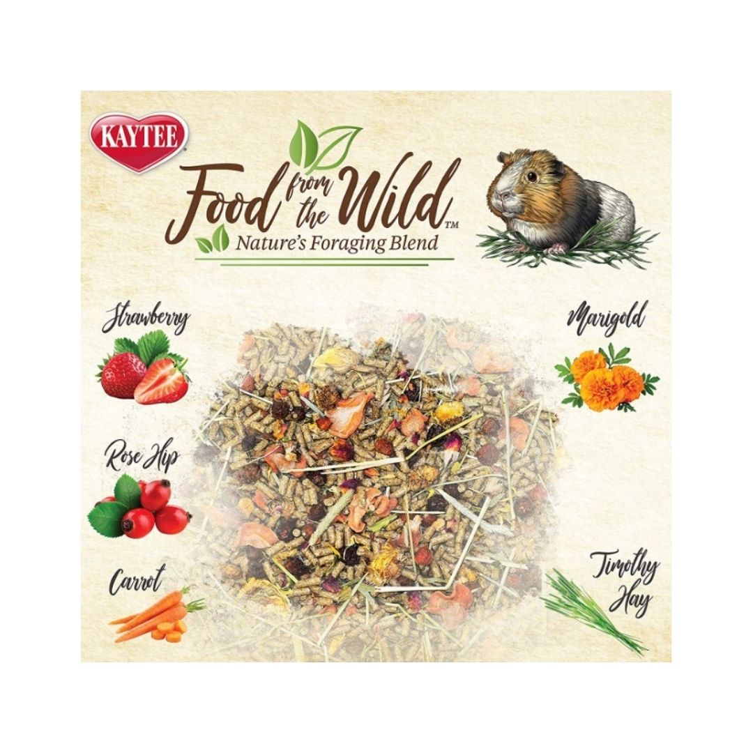 Kaytee Food From The Wild Guinea Pig - Front view of 4 lb bag with natural ingredients for guinea pigs.