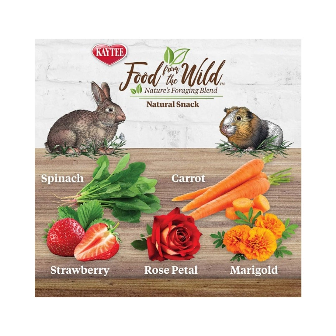 Nutritious mix of fruits, veggies, nuts for rabbits and guinea pigs - top view.