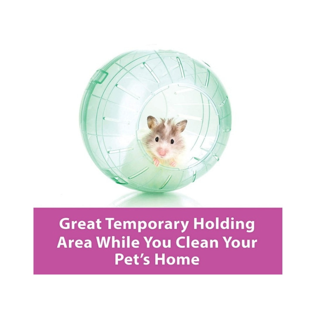 Clear giant Kaytee Run-About ball for small pets running inside, 11.5 inches in diameter