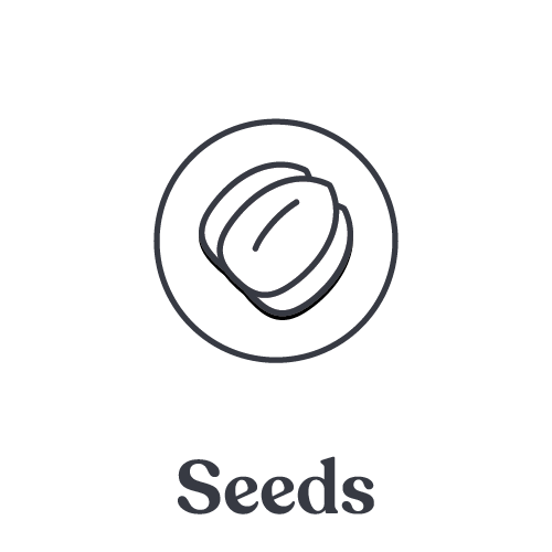 Seeds and Nuts
